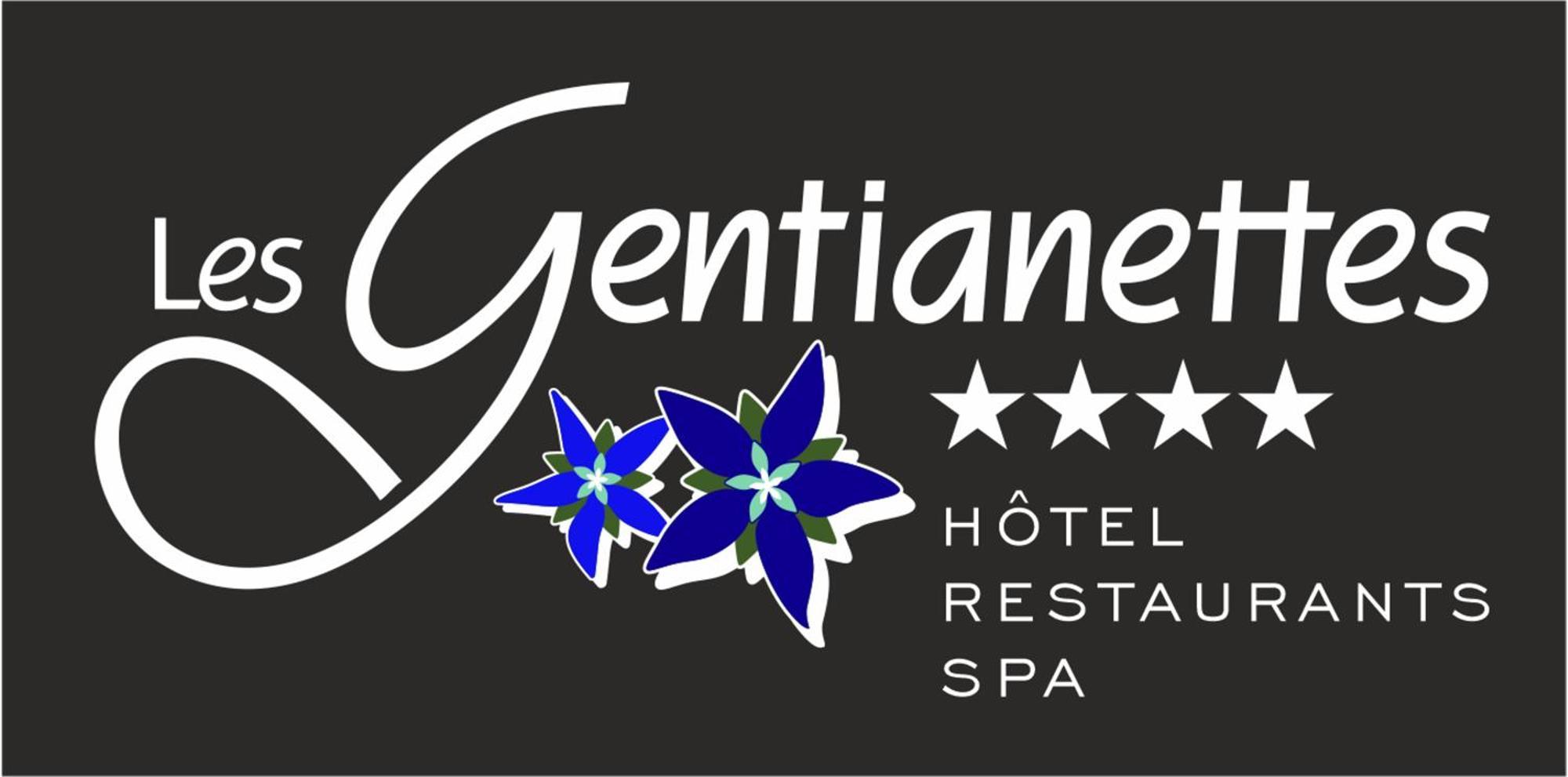 Les Gentianettes Hotel & Spa Abondance Buitenkant foto