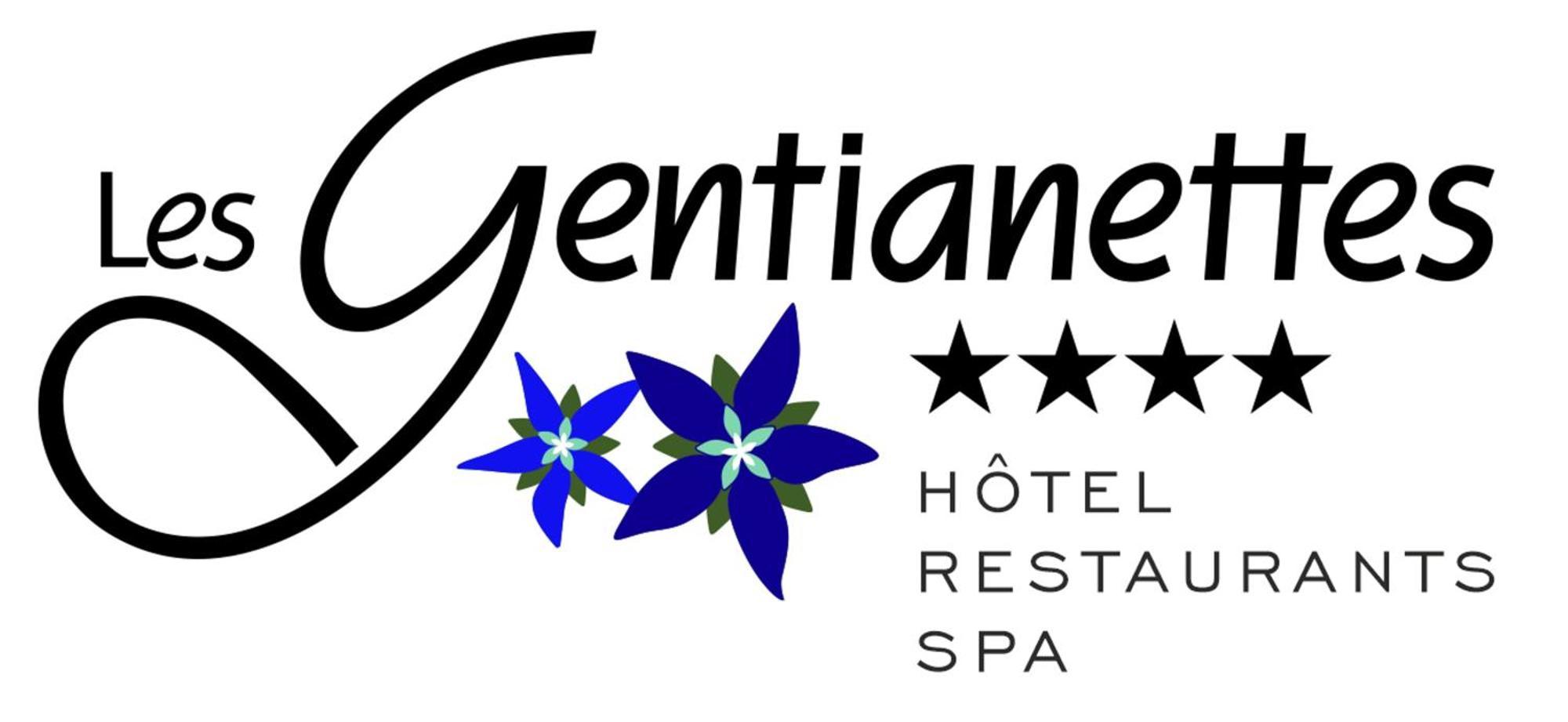 Les Gentianettes Hotel & Spa Abondance Buitenkant foto