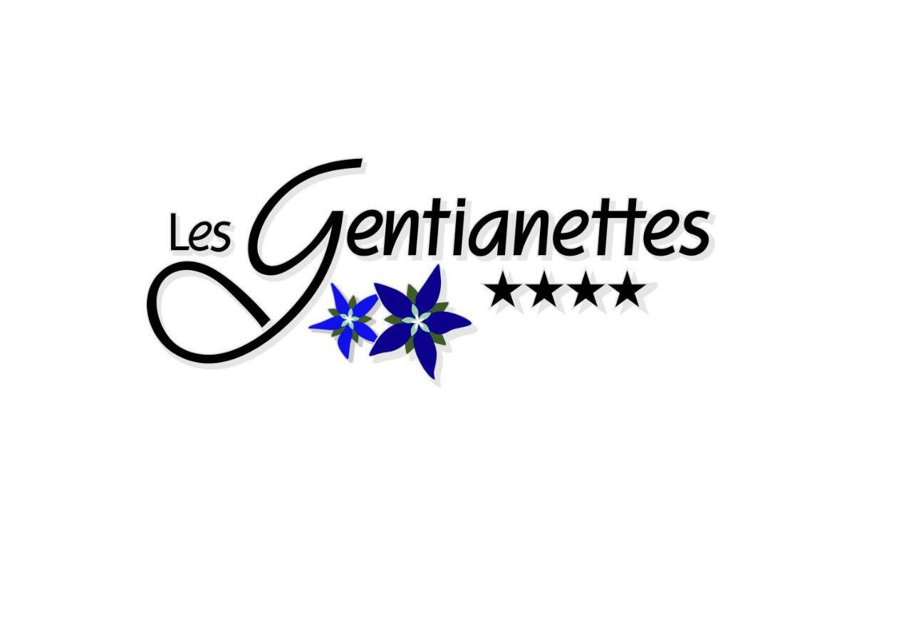 Les Gentianettes Hotel & Spa Abondance Buitenkant foto